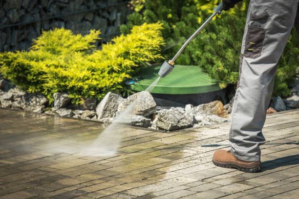 Best Roof Washing  in Franklin Lakes, NJ